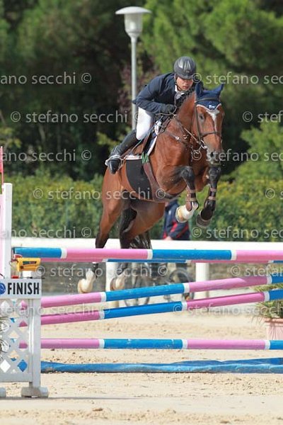 SPANO_KING_GIO CAV 2011_(0617) SS3_1859.jpg